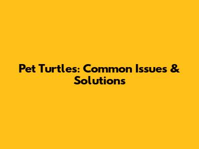 Pet Turtles: Common Issues & Solutions