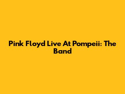 Pink Floyd Live At Pompeii: The Band