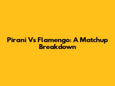 Pirani Vs Flamengo: A Matchup Breakdown