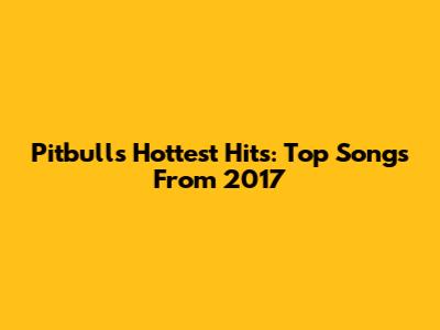Pitbull's Hottest Hits: Top Songs From 2017