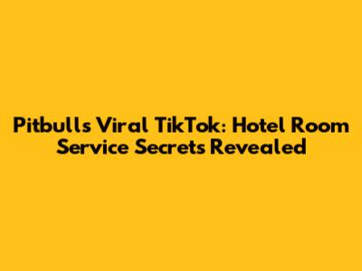 Pitbull's Viral TikTok: Hotel Room Service Secrets Revealed