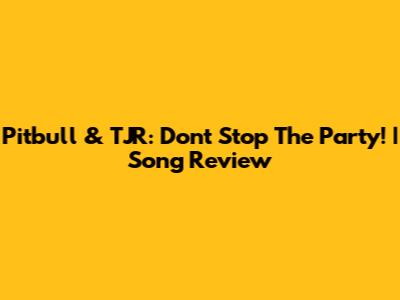 Pitbull & TJR: Don't Stop The Party! | Song Review