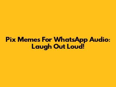 Pix Memes For WhatsApp Audio: Laugh Out Loud!