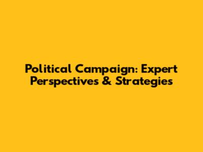 Political Campaign: Expert Perspectives & Strategies