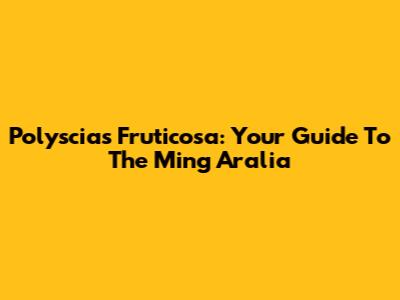 Polyscias Fruticosa: Your Guide To The Ming Aralia