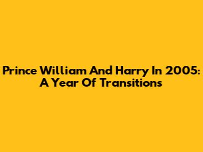 Prince William And Harry In 2005: A Year Of Transitions