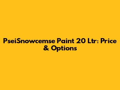 PseiSnowcemse Paint 20 Ltr: Price & Options
