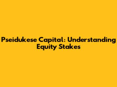 Pseidukese Capital: Understanding Equity Stakes