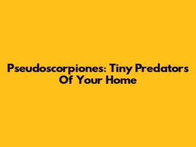 Pseudoscorpiones: Tiny Predators Of Your Home