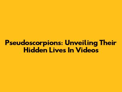 Pseudoscorpions: Unveiling Their Hidden Lives In Videos