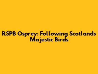 RSPB Osprey: Following Scotland's Majestic Birds