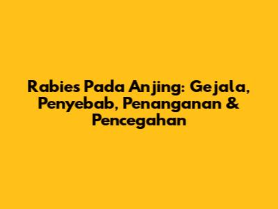 Rabies Pada Anjing: Gejala, Penyebab, Penanganan & Pencegahan