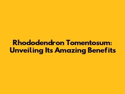 Rhododendron Tomentosum: Unveiling Its Amazing Benefits