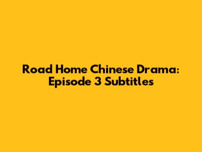 Road Home Chinese Drama: Episode 3 Subtitles