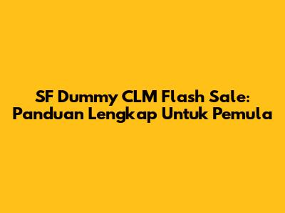 SF Dummy CLM Flash Sale: Panduan Lengkap Untuk Pemula