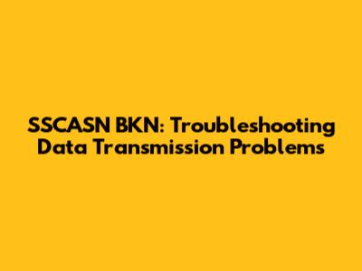 SSCASN BKN: Troubleshooting Data Transmission Problems