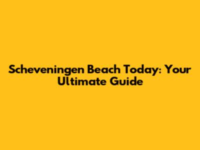 Scheveningen Beach Today: Your Ultimate Guide