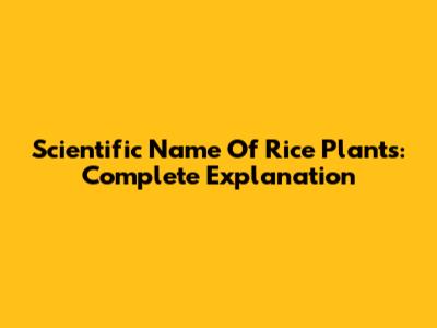 Scientific Name Of Rice Plants: Complete Explanation