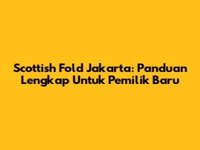 Scottish Fold Jakarta: Panduan Lengkap Untuk Pemilik Baru