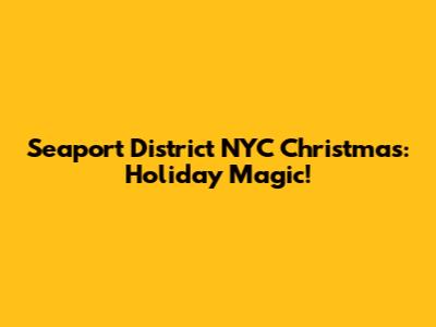 Seaport District NYC Christmas: Holiday Magic!