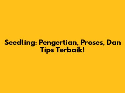 Seedling: Pengertian, Proses, Dan Tips Terbaik!