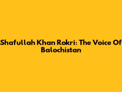 Shafullah Khan Rokri: The Voice Of Balochistan