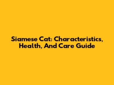 Siamese Cat: Characteristics, Health, And Care Guide