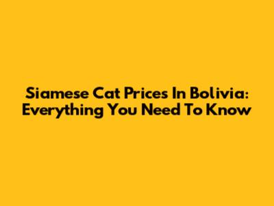 Siamese Cat Prices In Bolivia: Everything You Need To Know