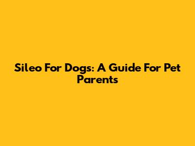 Sileo For Dogs: A Guide For Pet Parents