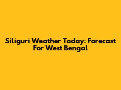 Siliguri Weather Today: Forecast For West Bengal