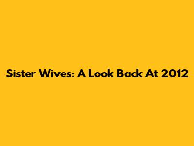 Sister Wives: A Look Back At 2012