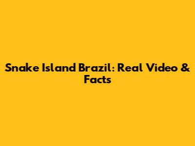Snake Island Brazil: Real Video & Facts
