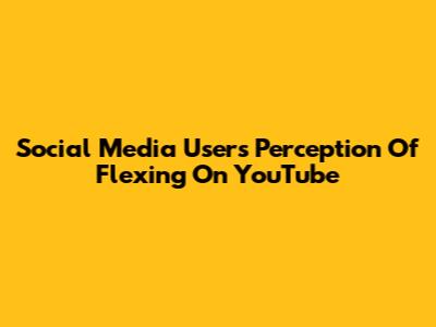 Social Media Users' Perception Of Flexing On YouTube
