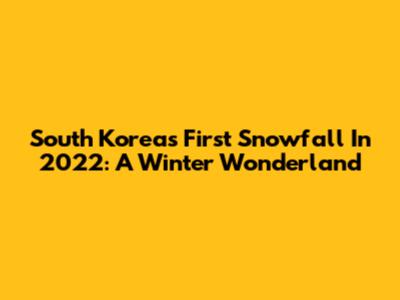 South Korea's First Snowfall In 2022: A Winter Wonderland