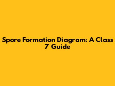 Spore Formation Diagram: A Class 7 Guide