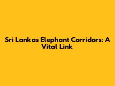 Sri Lanka's Elephant Corridors: A Vital Link