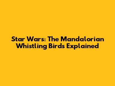 Star Wars: The Mandalorian Whistling Birds Explained