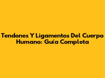 Tendones Y Ligamentos Del Cuerpo Humano: Guía Completa