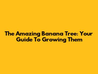 The Amazing Banana Tree: Your Guide To Growing Them