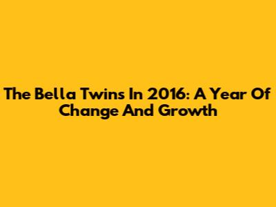 The Bella Twins In 2016: A Year Of Change And Growth