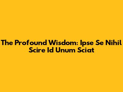 The Profound Wisdom: Ipse Se Nihil Scire Id Unum Sciat