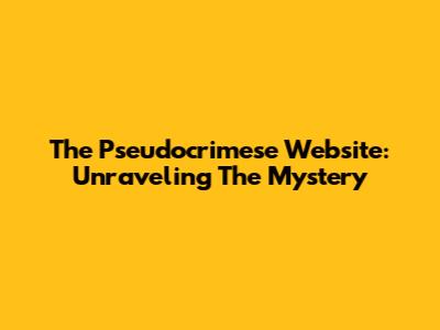 The Pseudocrimese Website: Unraveling The Mystery