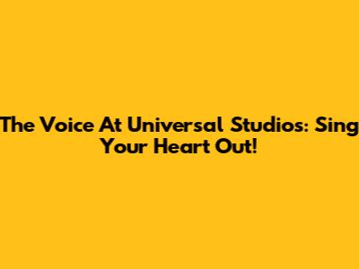 The Voice At Universal Studios: Sing Your Heart Out!