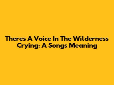 There's A Voice In The Wilderness Crying: A Song's Meaning