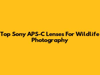 Top Sony APS-C Lenses For Wildlife Photography