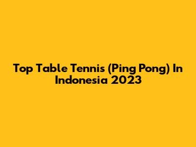 Top Table Tennis (Ping Pong) In Indonesia 2023