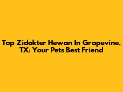 Top Zidokter Hewan In Grapevine, TX: Your Pet's Best Friend