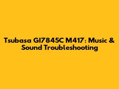 Tsubasa GI7845C M417: Music & Sound Troubleshooting