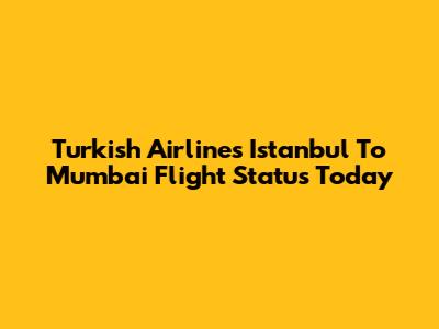 Turkish Airlines Istanbul To Mumbai Flight Status Today