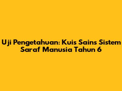 Uji Pengetahuan: Kuis Sains Sistem Saraf Manusia Tahun 6